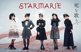 「STARMARIE 8/21に品川ステラボールにて単独公演開催！」