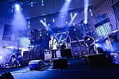 9mm Parabellum Bullet「9mm Parabellum Bullet 8年ぶり野音ライブで『ベルセルク』OP“90秒しかない”新曲初披露！」1枚目/1