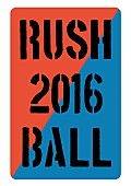 銀杏ＢＯＹＺ「野外イベ【RUSH BALL 2016】全出演者決定！ 銀杏BOYZ/Czecho No Republic/RIP SLYMEら追加」1枚目/5