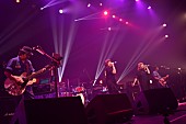 PUFFY「これが“PUFFYの生きた道”――奥田民生も参戦の20周年ライブ放送決定」1枚目/5