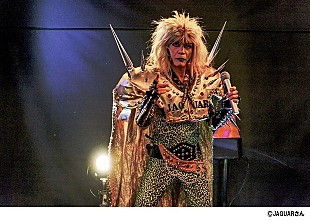 「番組『月曜から夜ふかし』で再ブレイク！ 千葉ご当地スター・JAGUARがキデイランド原宿店に降臨決定」