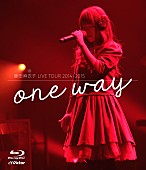 藤田麻衣子「藤田麻衣子 初のライブBlu-ray（【LIVE TOUR 2014-2015～one way～】ファイナル収録）発売決定！」1枚目/3