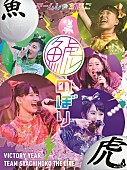 チームしゃちほこ「チームしゃちほこ、幕張2DAYS【鯱のぼり】大ボリュームのLIVE映像作品を9月7日リリース 」1枚目/2