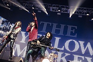 「THE YELLOW MONKEY 11月から新たに全国ホールツアー【-SUBJECTIVE LATE SHOW-】16公演開催！」