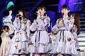 乃木坂46「」2枚目/7