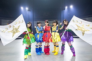 「チームしゃちほこ、武道館でスタッフ巻き込みサプライズ敢行、横アリへ向けての新曲披露も」