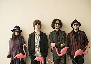 「FLOWER FLOWER、”さまざまな愛情を経て完成したシングル”来週発売！」