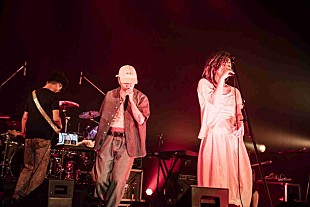 「illion（野田洋次郎/RADWIMPS）新曲「Hilight feat.5lack」ライブ映像公開＆7インチ盤リリース決定」