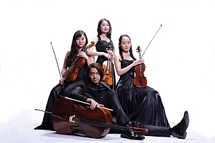 「“君嘘”モデルアーティストの篠原 悠那が所属するカルテット・アマービレがミュンヘン国際音楽コンクールで入賞」