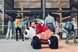 「杏窪彌×ようなぴ（ゆるめるモ！）「ジャイアントパンダにのってみたい」REMIX音源公開」