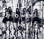 Ｆｌｏｗｅｒ「Flower初ベスト『THIS IS Flower THIS IS BEST』が90,084枚売り上げ、アルバム・セールス1位」1枚目/1