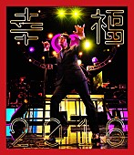 「岡村靖幸 Blu-ray/DVD『幸福2016』通常盤ジャケット＆デラックスエディション予告映像公開」1枚目/3