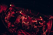 「9mm Parabellum Bullet ツアー【太陽が欲しいだけ】追加公演にGRAPEVINE出演」1枚目/2