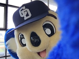 「ドアラ×yukihiro（L&#039;Arc～en～Ciel）“ドアラル”カレンダー2017発売」