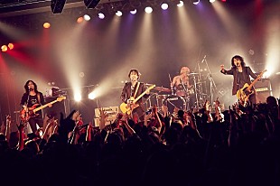 「イエモン菊地英昭率いるbrainchild’s、 2017年全国ツアー決定　」