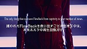 ＦｌｏｗＢａｃｋ「」14枚目/33