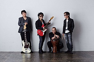 「飲酒運転の撲滅を誓う10,000人のライブ【LIVE SDD 2017】開催決定！出演アーティストも発表！」