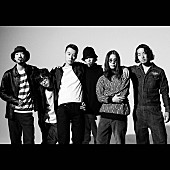 「Suchmos、来年1月にニューアルバム『THE KIDS』＆自主企画イベント第2弾にcero出演」1枚目/2