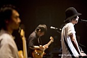 RADWIMPS「RADWIMPS「前前前世」の“前前前夜”10周年を追ったドキュメンタリー映画BD＆DVD特別映像公開」1枚目/6