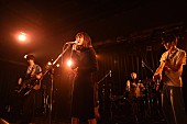 白波多カミン「白波多カミン「人生最後のライブという気持ちだった」やり切った2016年～それでも続いていく2017年へ」1枚目/8