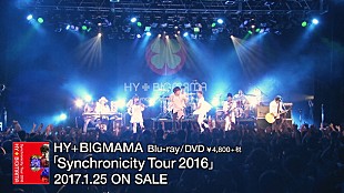 「HY+BIGMAMA ライブBD/DVD『Synchronicity Tour 2016』ティザー映像公開」
