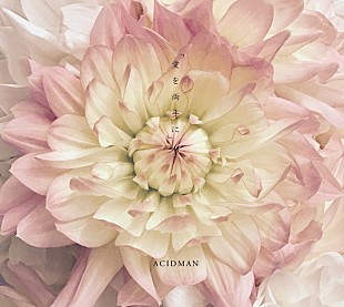 「ACIDMAN、全国5大都市のラジオ番組でニューシングル『愛を両手に』をOA解禁」