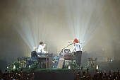 SEKAI NO OWARI「SEKAI NO OWARI 豪華なライブセット52品をオークションに出品！ 売上げは動物殺処分ゼロ支援の寄付へ」1枚目/12