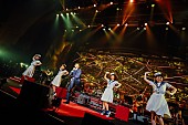 「星野源、【新春Live】で自身最大規模のアリーナツアー開催を発表」1枚目/4
