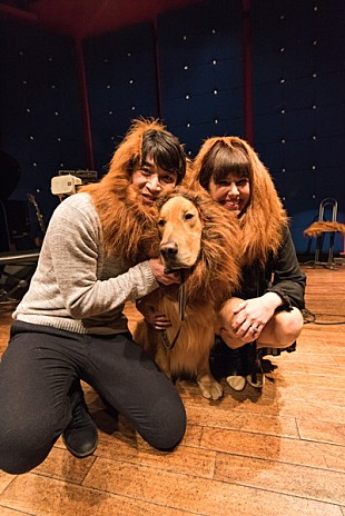 「CMでおなじみのアリエル・ポールがライブ開催　犬のゼウスもシークレット・ゲストに登場」