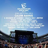 カルヴィン・ハリス「【SUMMER SONIC 2017】＆【SONICMANIA 2017】第一弾ラインアップ発表、C・ハリス/5SOS/リアム/ピコ太郎らの出演決定」1枚目/4