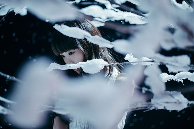 Aimer、新曲MVに倉科カナが出演＆5月に初のベストアルバム発売