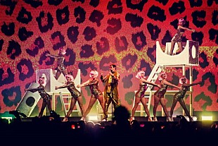 「世界のピコ太郎 熱烈なオファーを受けベルギーへ！ 約6,000人の観客の前で「PPAP」披露」