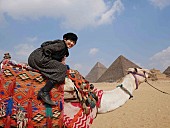 「“歌謡曲の歌姫”伊藤美裕 「少しでも日本とエジプトとの架け橋になれたら」 カイロにて初ワンマン開催」1枚目/5