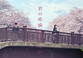 浜辺美波「浜辺美波＆北村匠海（DISH//）『君の膵臓をたべたい』実写映画のW主演に！ 北川景子＆小栗旬も出演」1枚目/3