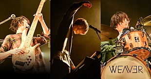 「WEAVER ライブハウスツアー【Shake! Shake!】オープニングアクトを一般募集」