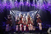 AKB48「」8枚目/15