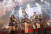 AKB48「」12枚目/15