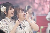 AKB48「」14枚目/15