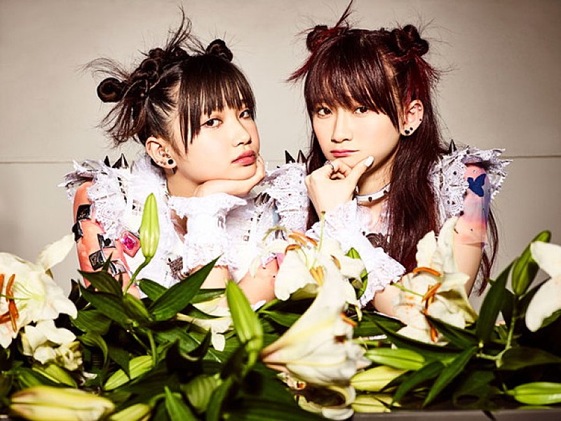 Ｔｈｅ　Ｉｄｏｌ　Ｆｏｒｍｅｒｌｙ　Ｋｎｏｗｎ　Ａｓ　ＬＡＤＹＢＡＢＹ「LADYBABY“舐めたらヤバイ”超攻撃的な新曲「Pelo」ライブ初披露！ シングルC/WのMVも公開」1枚目/1