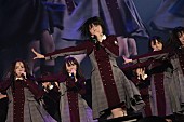 HKT48「」26枚目/33