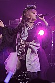 春奈るな「GARNiDELiA
」2枚目/9