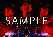 BABYMETAL「」4枚目/4