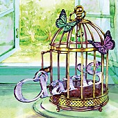 「初回盤」2枚目/4