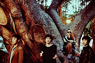 「スピッツ「全シングル表題曲＋新曲3曲」収録のCD BOX＆アルバム16作品のアナログ重量盤リリース」