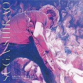 「スガ シカオ＆自身がヴォーカルを務めるkokua ツアー映像作品のトレーラー公開」1枚目/8