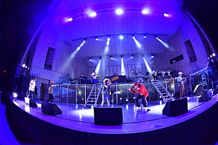 「スチャダラパー×EGO-WRAPPIN'のコラボ楽曲「ミクロボーイとマクロガール」リリース決定」