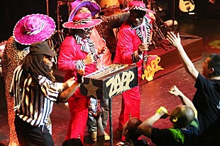 「ZAPPの時空を超えた躍動感溢れるステージ。黒人音楽の伝統と美意識が凝縮されたエンタテイメント・ショウに今宵、あなたは準備OK？」