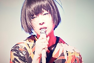 「椎名林檎 最新映像作品のダイジェスト映像＆ライブ映像5曲フル公開」