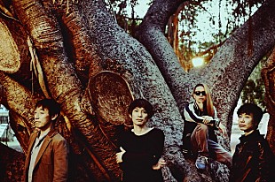 「スピッツ 厳選ライブ映像50曲など毎月連続配信」