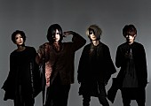 Ｐｌａｓｔｉｃ　Ｔｒｅｅ「Plastic Treeトリビュート作に相川七瀬、a crowd of rebellion、緒方恵美、氣志團、清春ら12組参加」1枚目/13